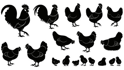Black silhouettes of chickens and roosters on white background farm animals poultry birds graphics handmade illustration vector © craftsby.ib