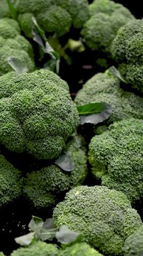 Fresh green broccoli heads 