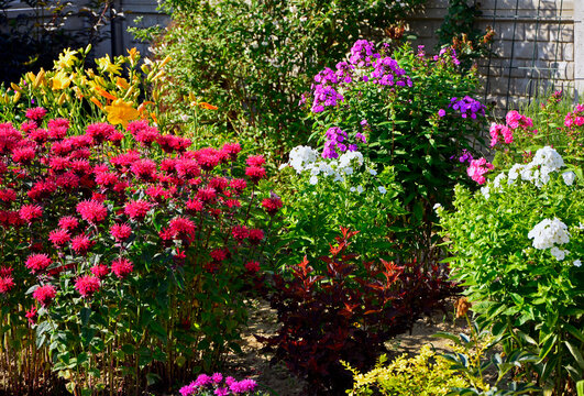 Pysznogł&oacute;wka, liliowce i floksy wiechowate w ogrodzie, Monarda didyma, Hemerocallis, Phlox paniculata, ogr&oacute;d kwiatowy, ogr&oacute;d z kwitnącymi byliami, colorful flowerbed, flowers garden, flower perennial