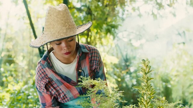 Woman Tending Plants in Greenhouse
