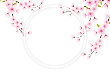 Pink cherry blossom floral branch high resolution transparent png photo
