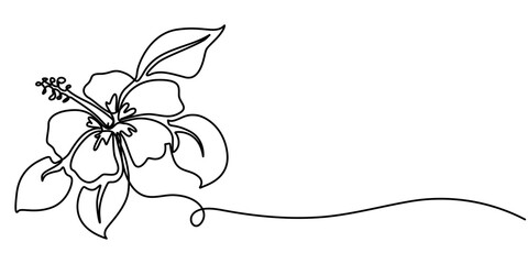 hibiscus continuous one line drawing, Hibiscus flower in one continuous line art drawing style. Minimalist black line sketch isolated on white background. Vector illustration.  © SREEPOLOK