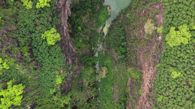 Hero top-down drone flight along Ravine Bernica river gorge with white-tailed tropicbird crossing above basin, Saint-Paul, Reunion Island