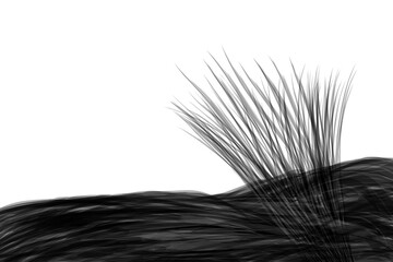 Silent grass under a white overcast sky, black and white design.