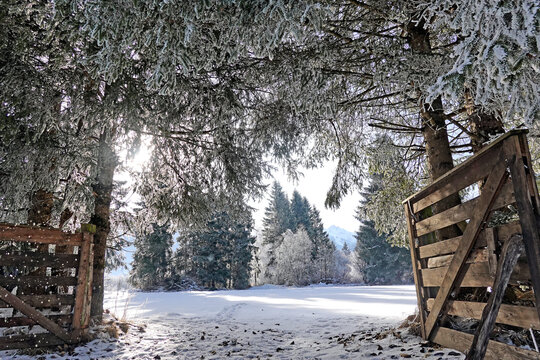 Winterstimmung - Gattertor f&uuml;hrt auf ein verschneites Feld
winter mood - fence gate leading to a field with snow