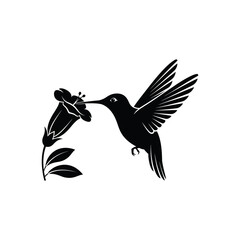 Obraz premium Hummingbird's Floral Embrace: A hummingbird, captured in mid-flight, delicately interacts with a vibrant flower. A symbol of nature's beauty and the interconnectedness of life.