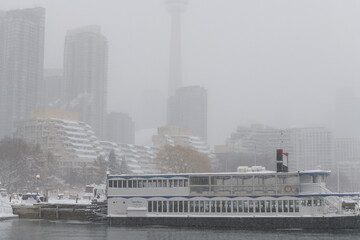 Obraz premium view over the Portland slip, looking east from Ireland Park to berthed boats and buildings during a snow storm on 2026-01-15 in Toronto