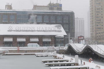 Obraz premium looking west to Radisson Blu, a hotel, Queens Harbour, a restaurant, and Simcoe WaveDeck, along Queens Quay West during a snow storm on 2026-01-15 in Toronto