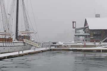 Naklejka premium Empire Sandy tall ship in Toronto harbor during a snow storm on 2026-01-15 (Harbourfront Centre) - at right Amsterdam Brewhouse