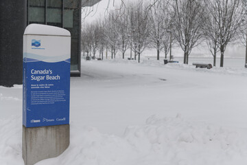 Naklejka premium looking east from Sugar Beach (with sign in French) during a snow storm on 2026-01-15 in Toronto
