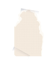 Torn paper collection