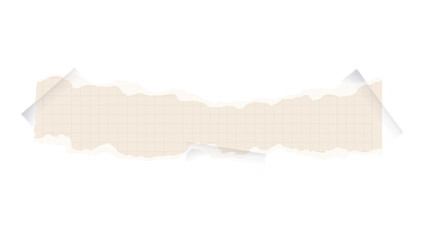 Torn paper collection