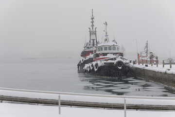 Obraz premium tugs in the harbor during a snow storm on 2026-01-15 in Toronto