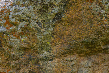 Rugged rock displays vibrant lichen in an outdoor nature setting. Textured surface and earthy tones create a serene and natural atmosphere during the day.
