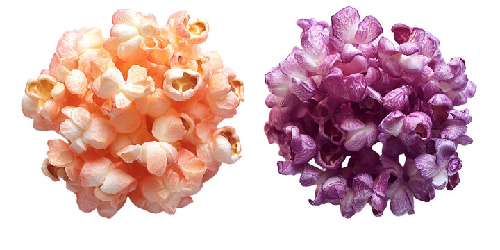 Two decorative floral clusters in peach and lavender