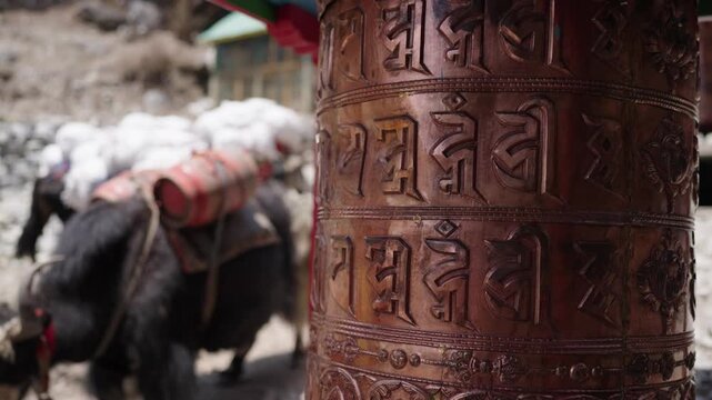 Yak Caravan Passing Prayer Wheel in Himalayas
