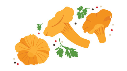 Chanterelle mushrooms with fresh parsley and peppercorns on transparent background illustration
