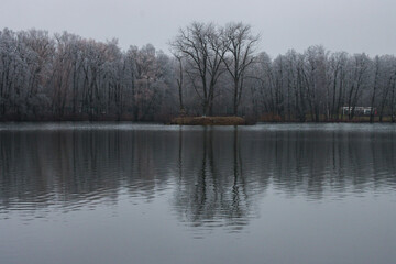 River bank in the suburbs in winter.
