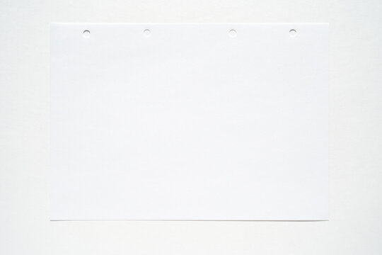 Blank white sheet of notebook paper with four punch holes on light background.