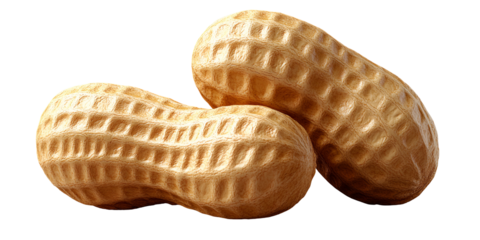 Two whole peanuts against transparent background