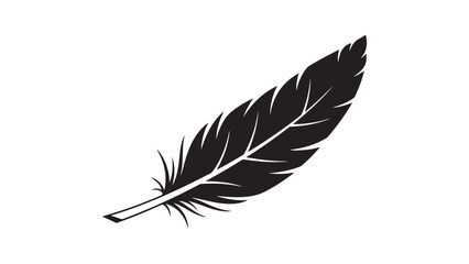 Obraz premium Elegant black feather vector illustration
