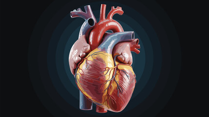 Detailed human heart anatomy illustration with major blood vessels and valves