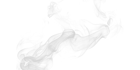 Graceful white smoke swirls elegantly on deep black creating an ethereal mysterious abstract texture dynamic artistic