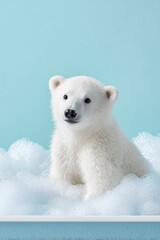a cute, happy baby polar bear sitting in a bathtub, covered with soap suds and bubbles, against a light blue background