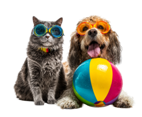 Funny cat and dog duo wear colorful swimming goggles while sitting together with a wet beach ball, ready for a summer vacation adventure at the pool