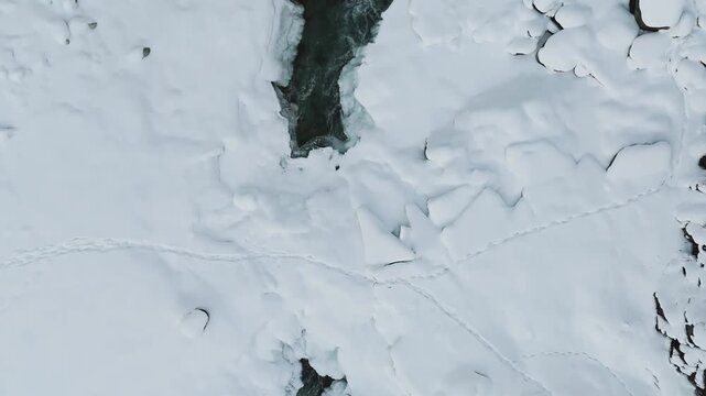 Aerial Top Down Drone Shot Pulling Back Over Animal Tracks on Frozen River Ice, Wildlife Footprints Crossing Snow Covered Mountain Stream, Ice Shelf in Himalayan Valley
