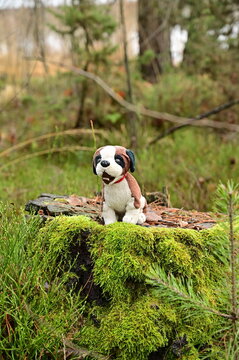 A forest stump in the moss with a dog sitting on it.
