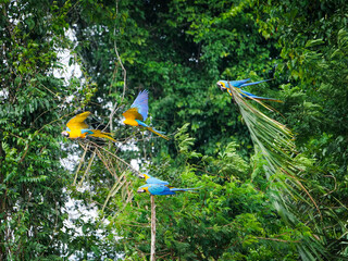 Fototapete bei efototapeten.de bestellen   