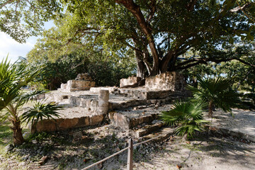 Fototapeta premium El Meco Ruins and tree