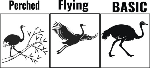 Obraz premium Emu Flying and Perched Bird Silhouettes Collection in Clean Black Minimal Vector Style