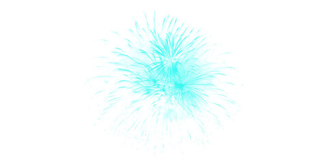 Fototapeta premium Vibrant teal fireworks exploding in a dark night sky spectacular pyrotechnic display celebrating joy festive event magic
