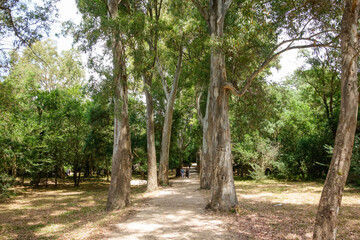 Fototapeta premium Butrint archaeological site, ancient Greek polis and later Roman city in Ksamil, Albania. Unesco World Heritage Site