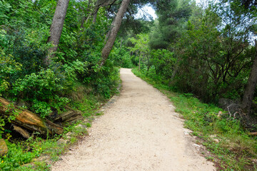 trail at Velika and Mala Petka Forest Park, Dubrovnik, Croatia