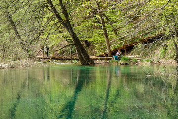 spectacular waterfalls and lakes of Plitvice Lakes National Park, in Croatia
