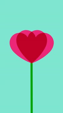 Flower Leaves Forming a Heart Shape on light blue and black background Animation Asset - 4K Vertical Video 8 Seconds Seamless Loop 