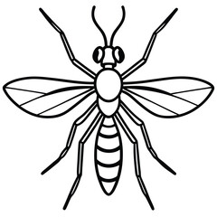 Fototapeta premium mosquito isolated on white