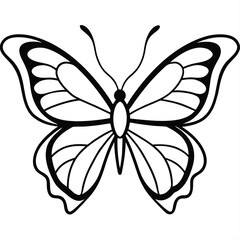 black and white butterfly