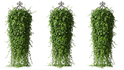 Three hanging plants frame set isolated on transparent background