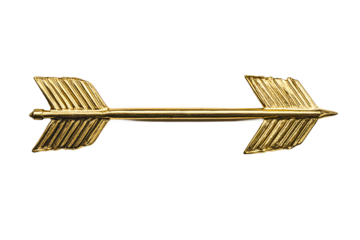 Two Golden Arrows in Different Styles Centered PNG
