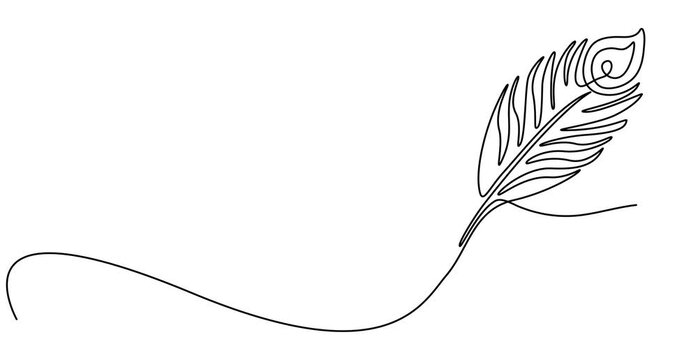 Peacock Feather continuous one line drawing animation, Abstract peacock feather, Self drawing animation one continuous line draw, logo, Animation of one single line drawing of beautiful peacock