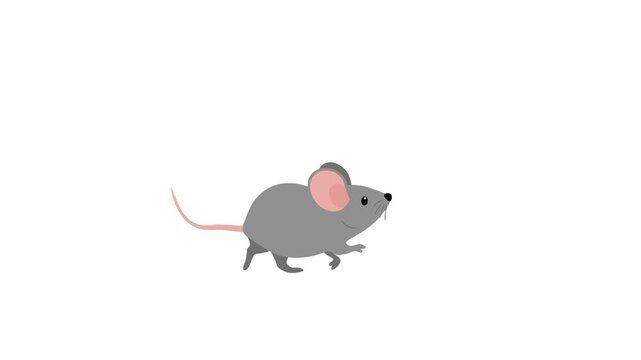 Video Walking Mouse Animation