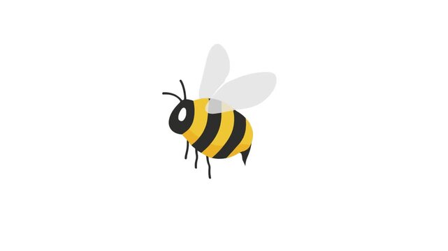 Video Flying Bee Animation