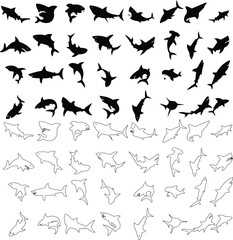 Obraz premium Shark icon set in silhouette and outline style, marine predator fish shapes in multiple swimming poses, black and line ocean animal vector illustration collection