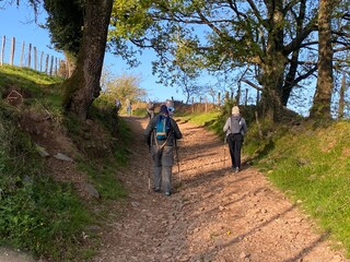 Obraz premium Cammino di Santiago - Pirenei (Roncisvalle)