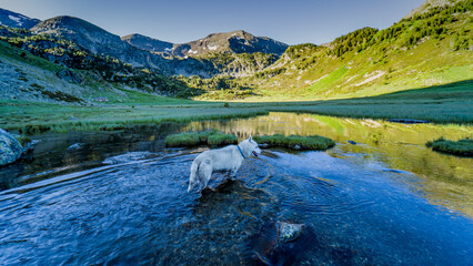 Krajobrazy Andorry © alecki