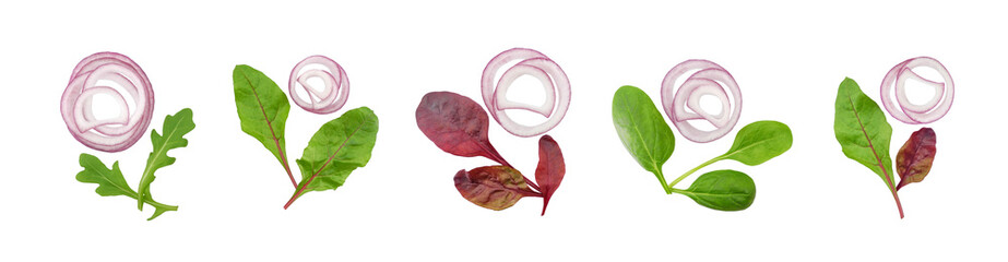 Flowers made from red onion rings and salad leaves of arugula, Swiss chard, and spinach isolated on white background. Dish decor, design element.
